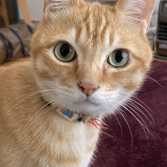 遊びに誘うバロンくん