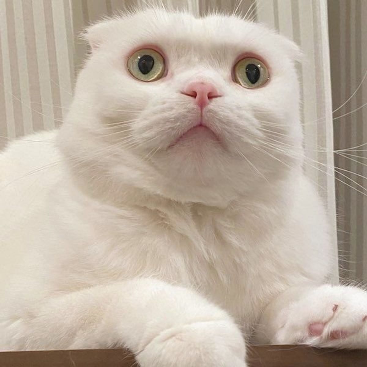 C8xn8f2pgl9qkm C8xn8f2pgl9qkm