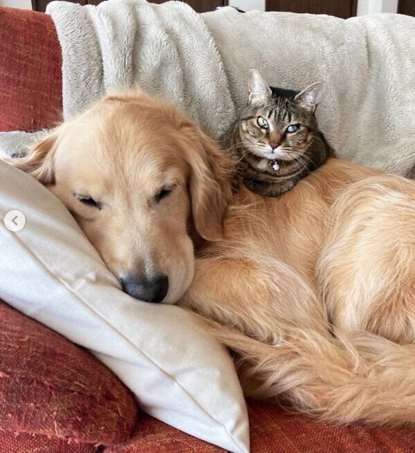 まったりするくうちゃん、かいくん