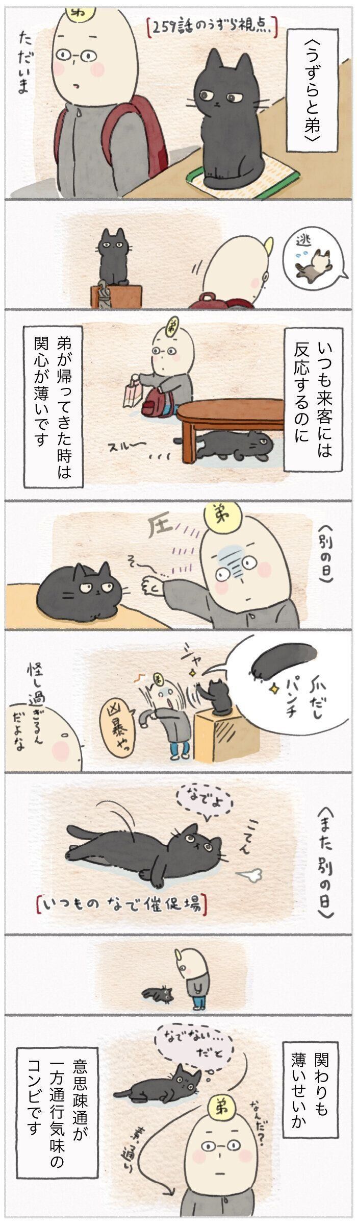 「ねこ連れ草」260話め