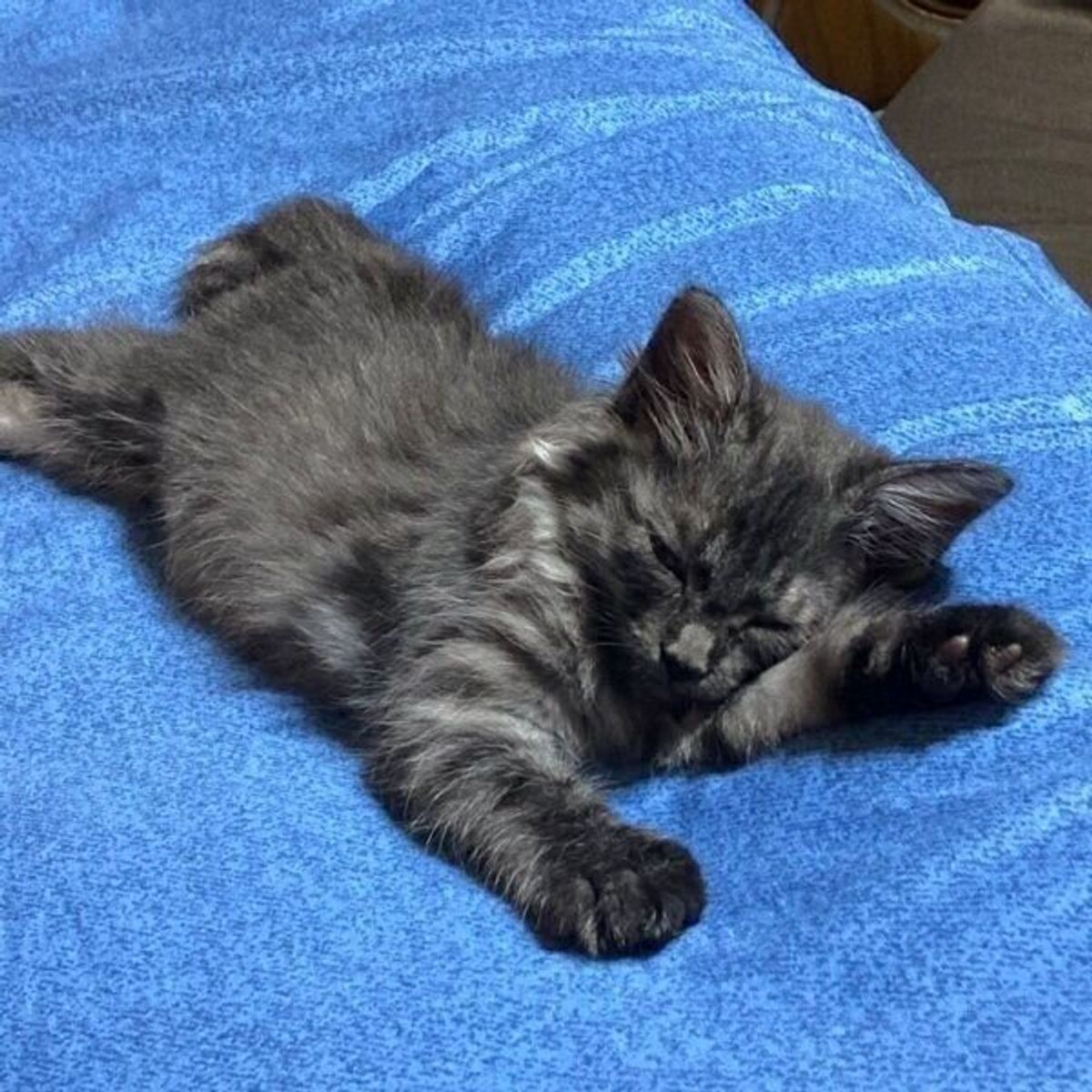 Ignuwserus2nrm Ignuwserus2nrm