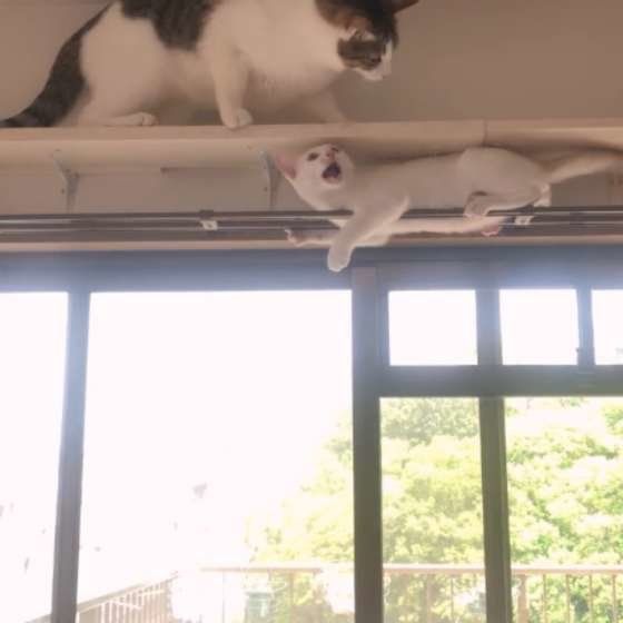 みっちゃん　もっちーちゃん