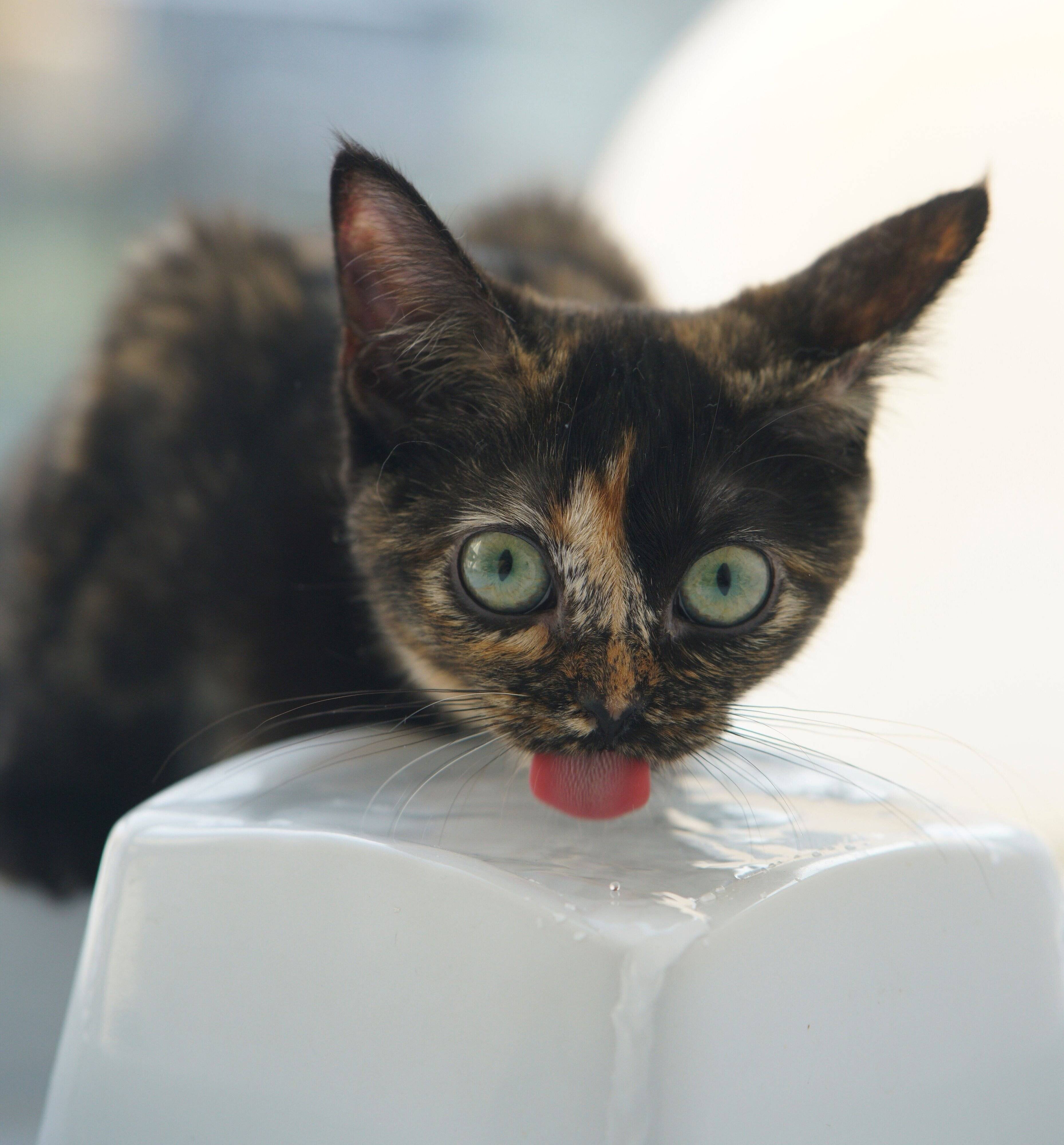 撮影／石原さくら