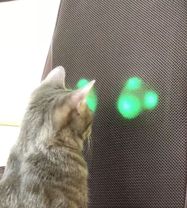 マッサージ機が気になる猫