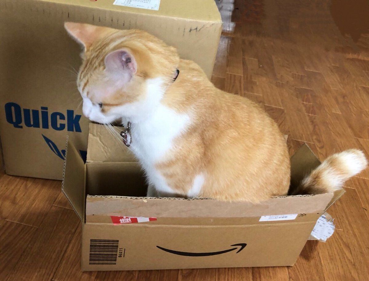 小さい箱に入るごまじろう