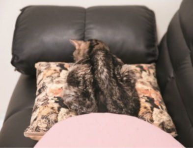 撮影／中川文作