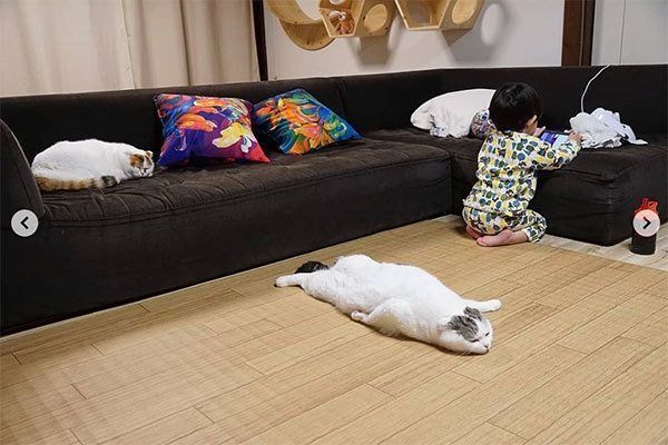 ぐでっとするライくん