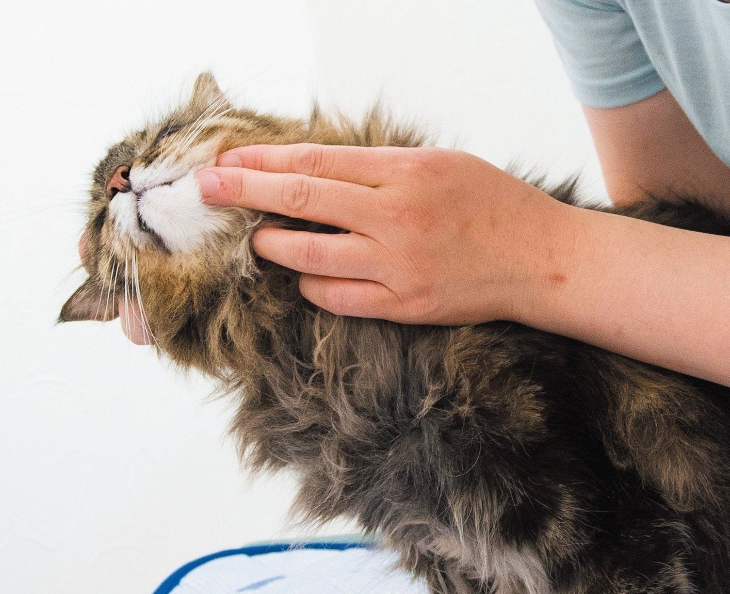 撮影／中川文作