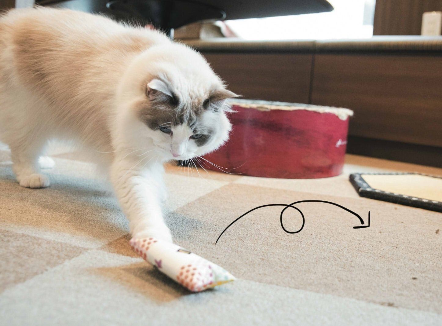 撮影／中川文作