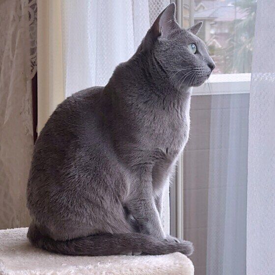 パトロール中のロッシーくん