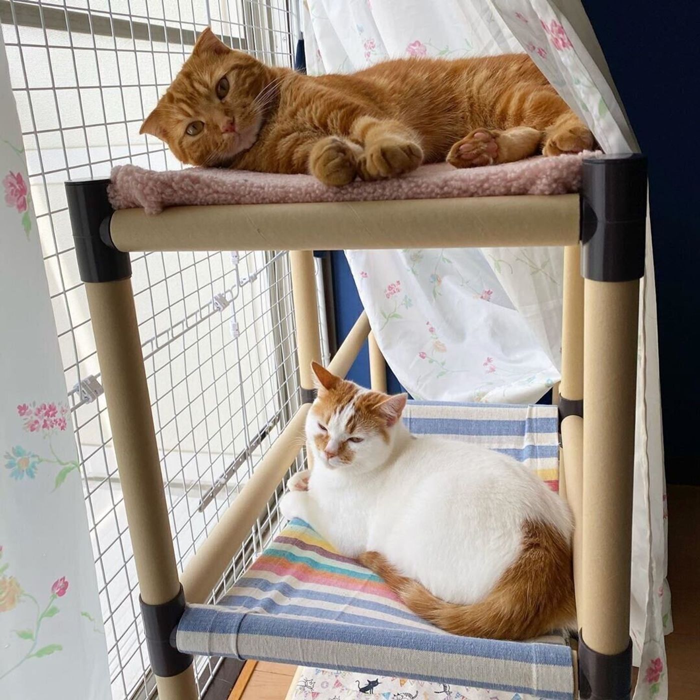 コスパ最高 100均材料で作る本格的 猫ハンモック 制作ポイントもご紹介 ねこのきもちweb Magazine コスパ最高 100均材料で作る本格的 猫ハンモック 制作ポイントもご紹介 ねこのきもちweb Magazine