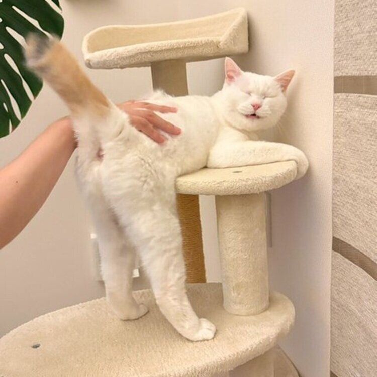 話題になった投稿写真