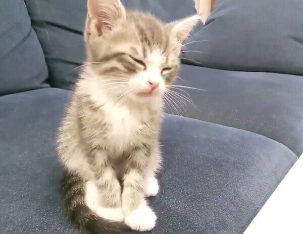 座りながらウトウトするあおちゃん