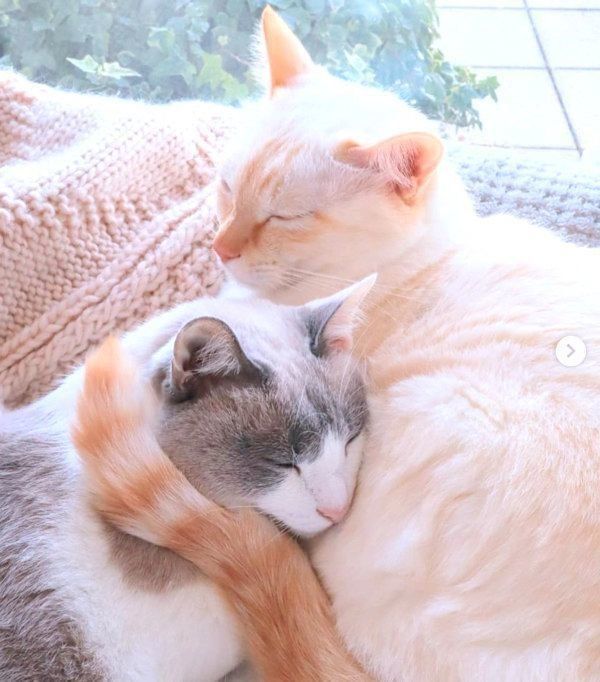 寄り添うチャコたんとすず香ちゃん