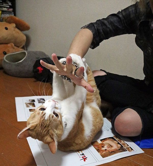 煉さんと虎徹くん