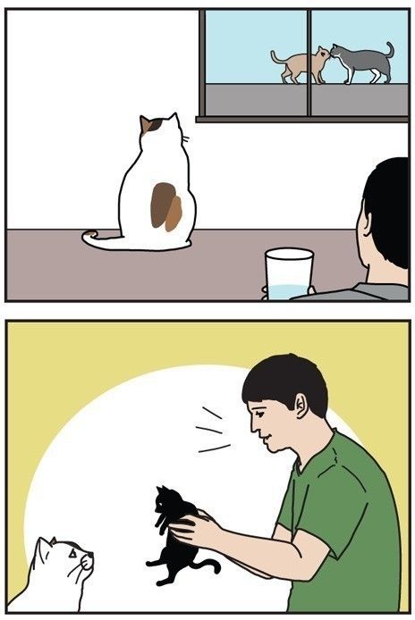 『男の猫道』vol.26