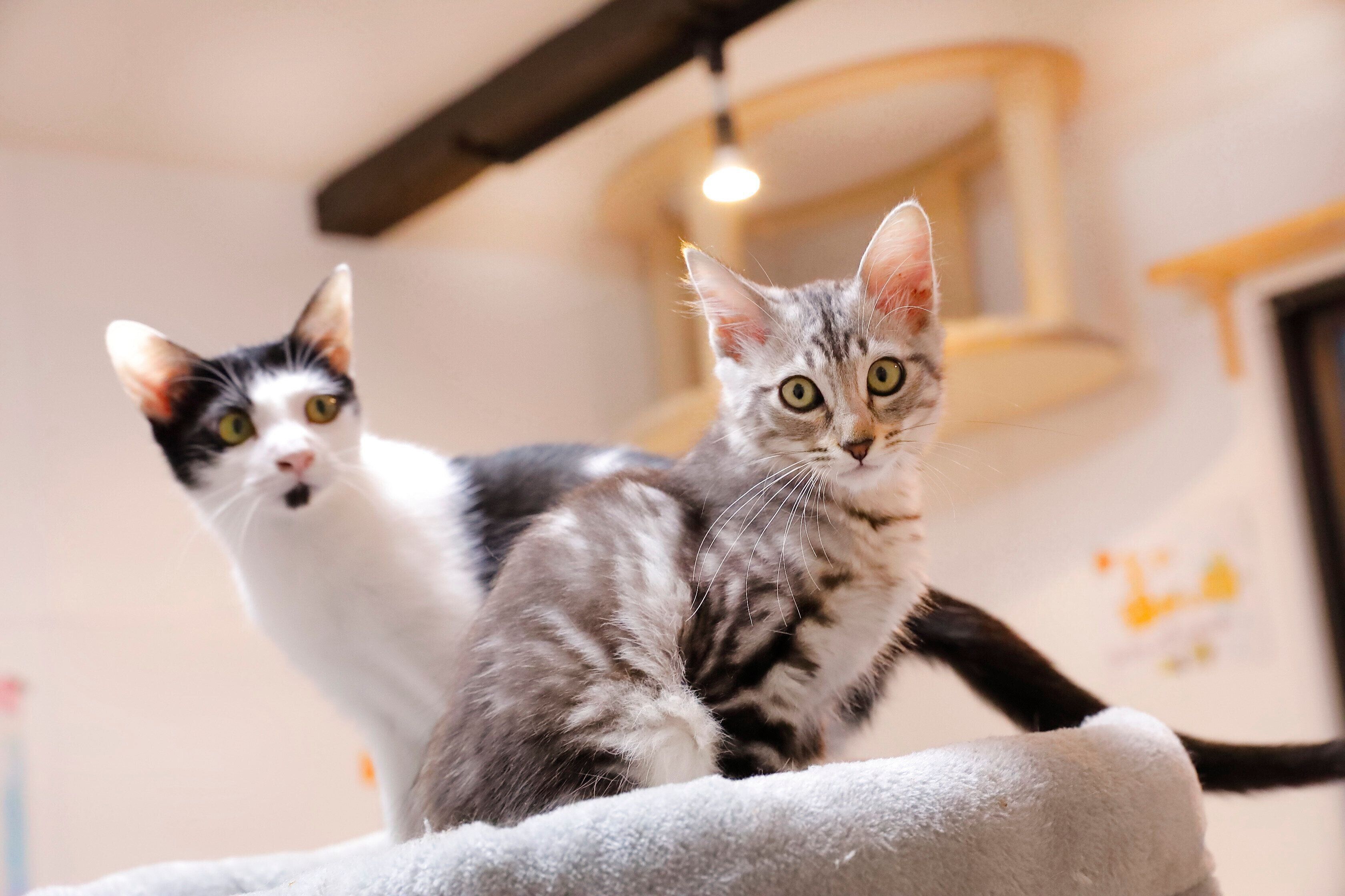 撮影／後藤さくら