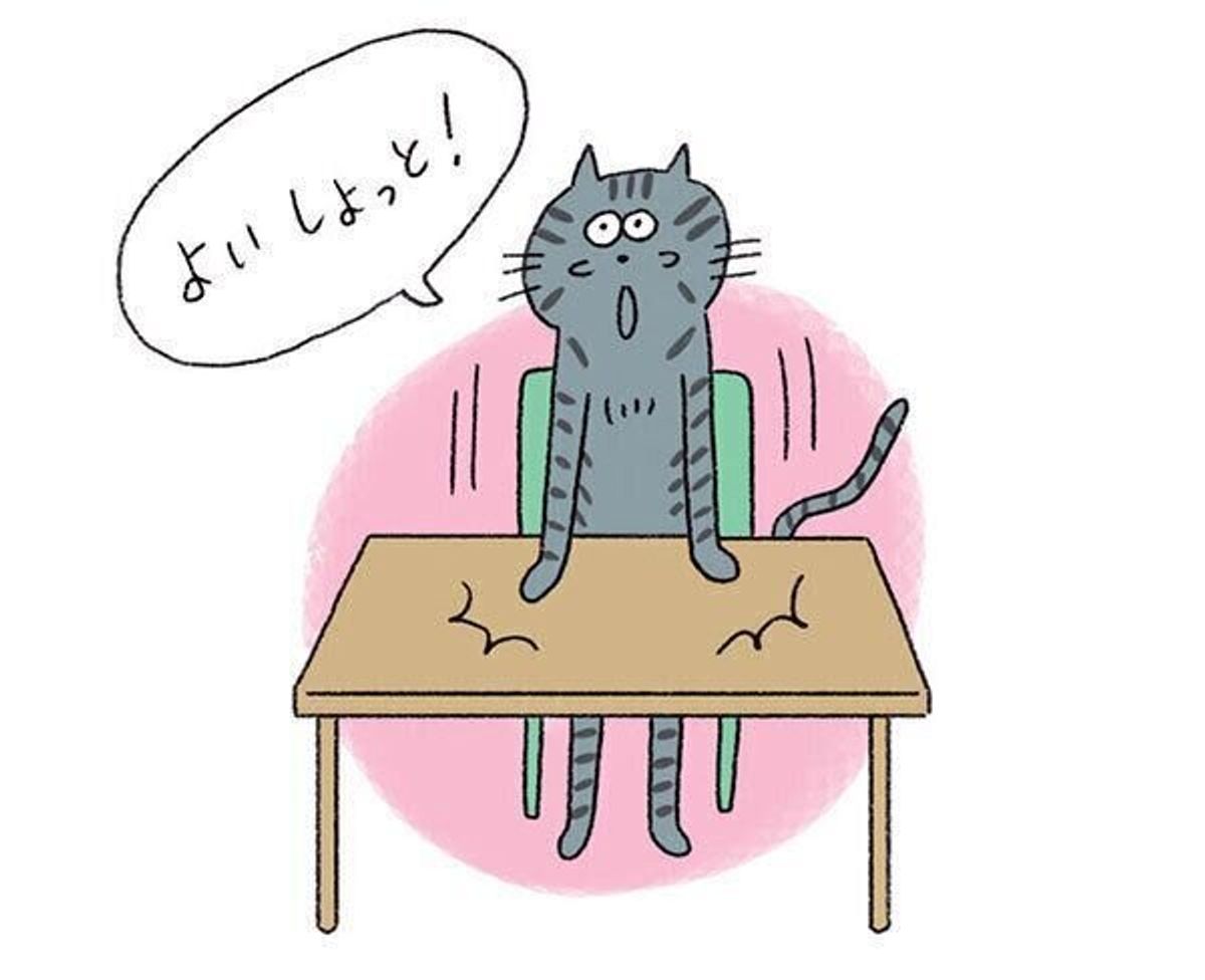 ジャンプのとき にゃっ と鳴く 失敗して耳をかく 猫の謎な行動を人に例えたら ねこのきもちweb Magazine ジャンプのとき にゃっ と鳴く 失敗して耳をかく 猫の謎な行動を人に例えたら ねこのきもちweb Magazine
