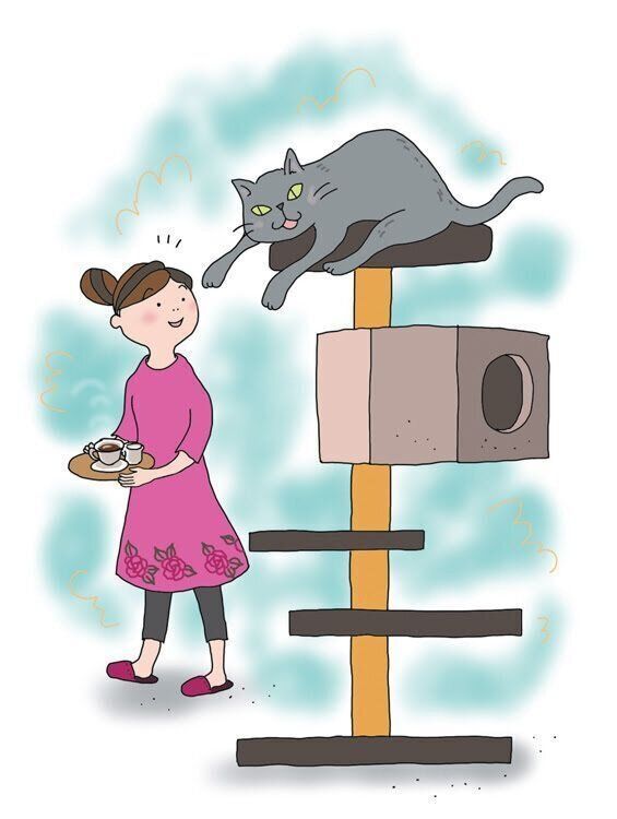 イラスト／吉沢深雪