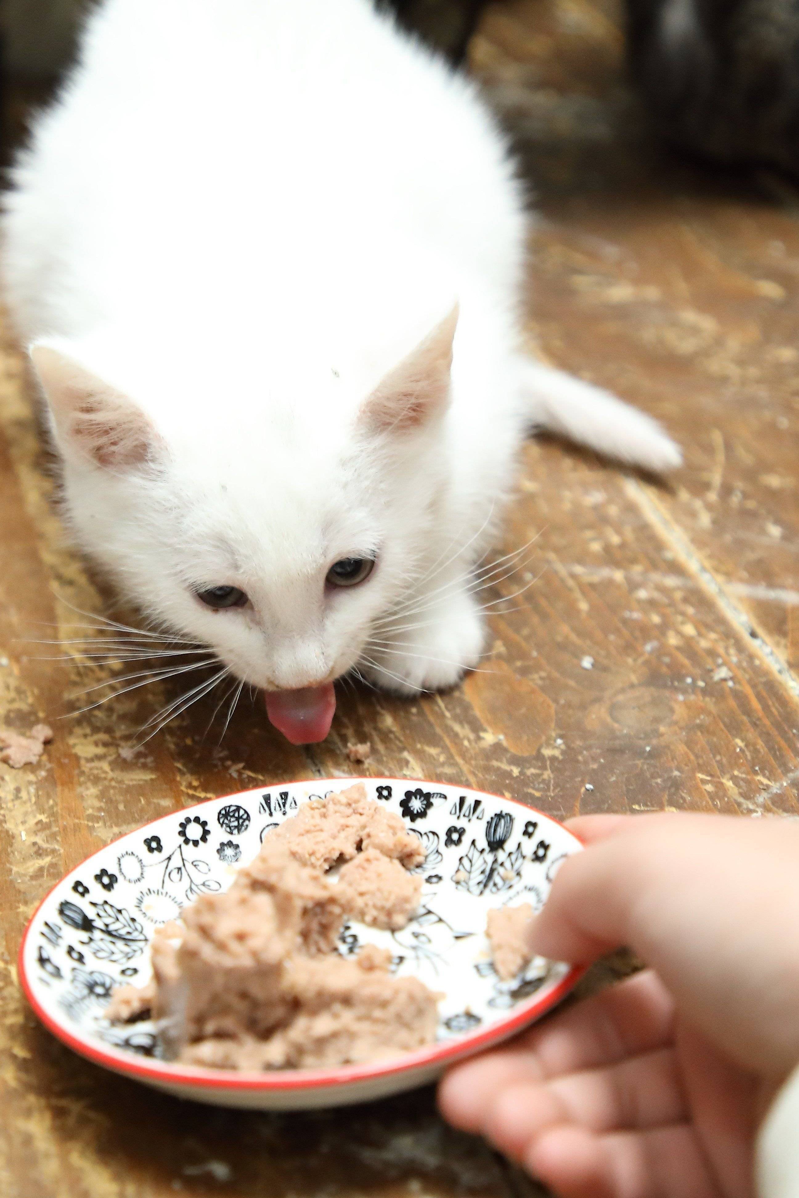 撮影／尾﨑たまき