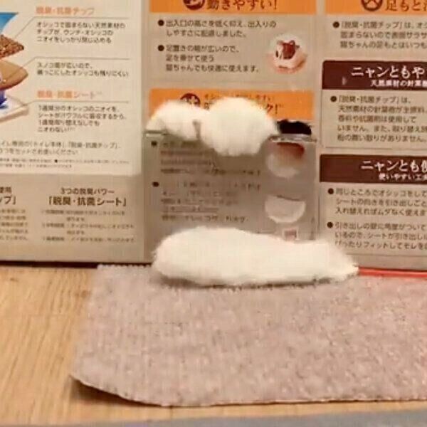 段ボールで遊ぶどらみちゃん