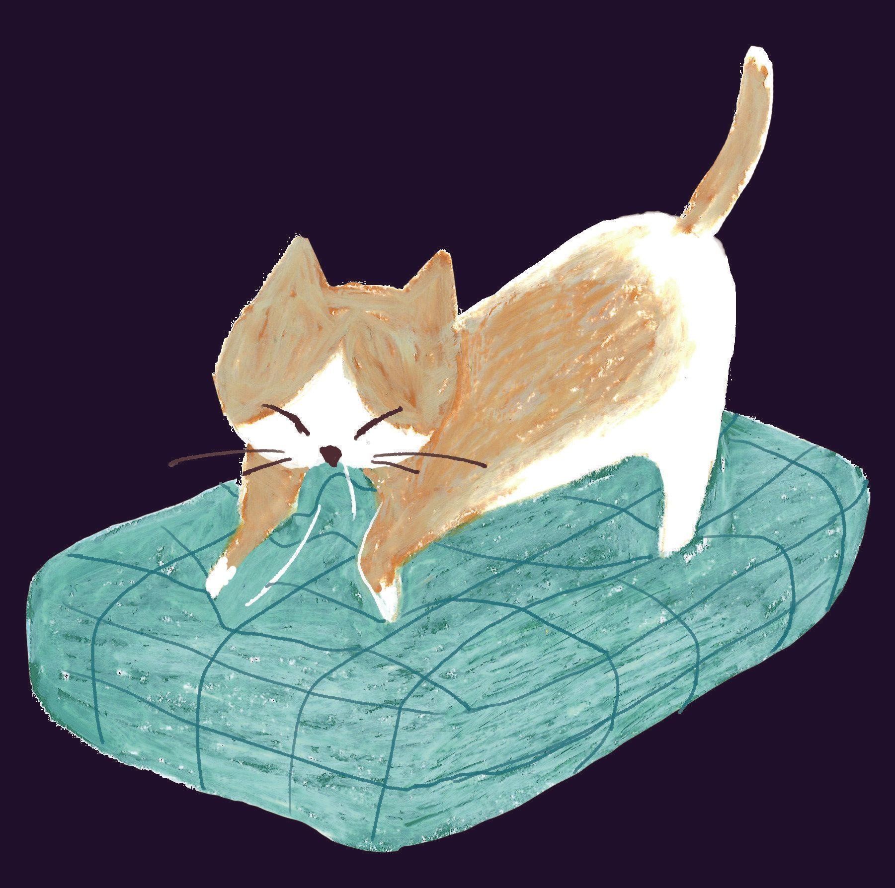 イラスト／mollydomon