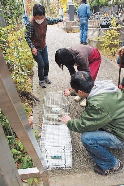 撮影／尾﨑たまき