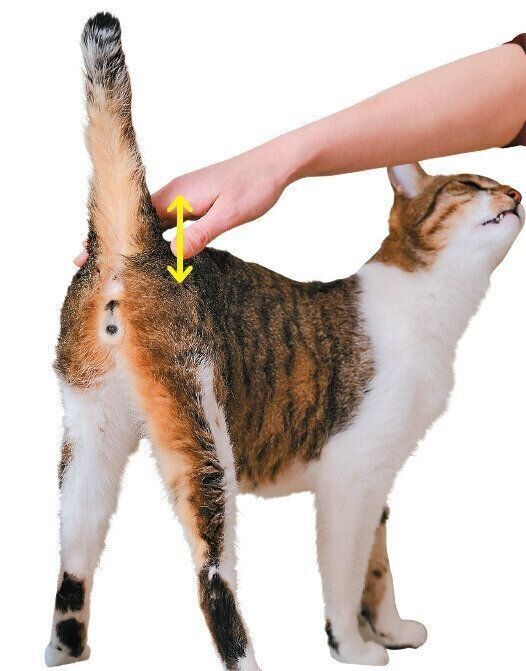 撮影／Akimasa Harada