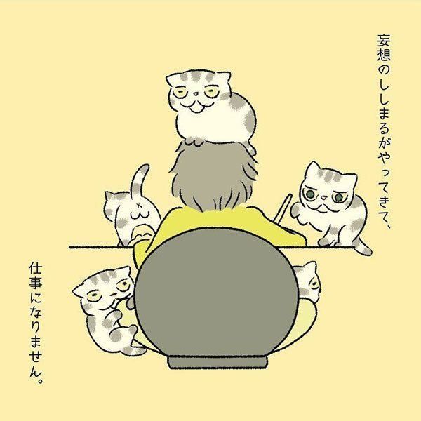 渋ネコししまるさん