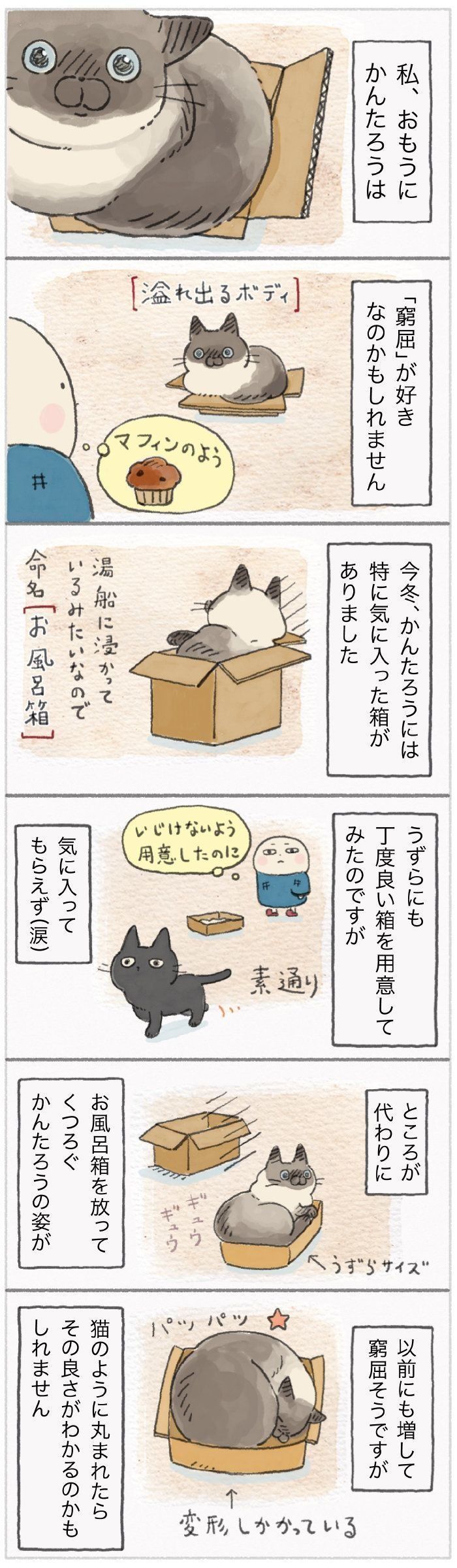 「ねこ連れ草」114話め