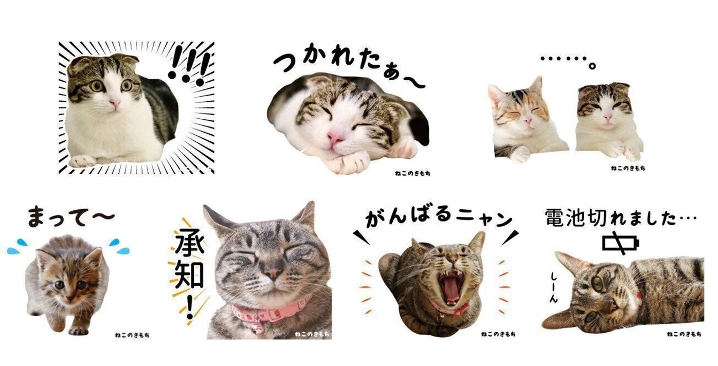 締切迫る みんなでスタンプ 公式アプリ投稿キャンペーン実施中 あなたの愛猫がスタンプに ねこのきもちweb Magazine 締切迫る みんなでスタンプ 公式アプリ投稿キャンペーン実施中 あなたの愛猫がスタンプに ねこのきもちweb Magazine