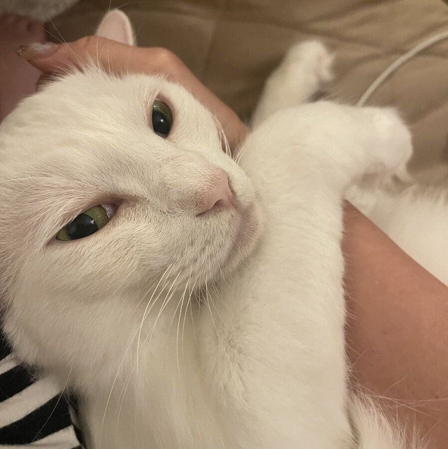 甘えるミルくん