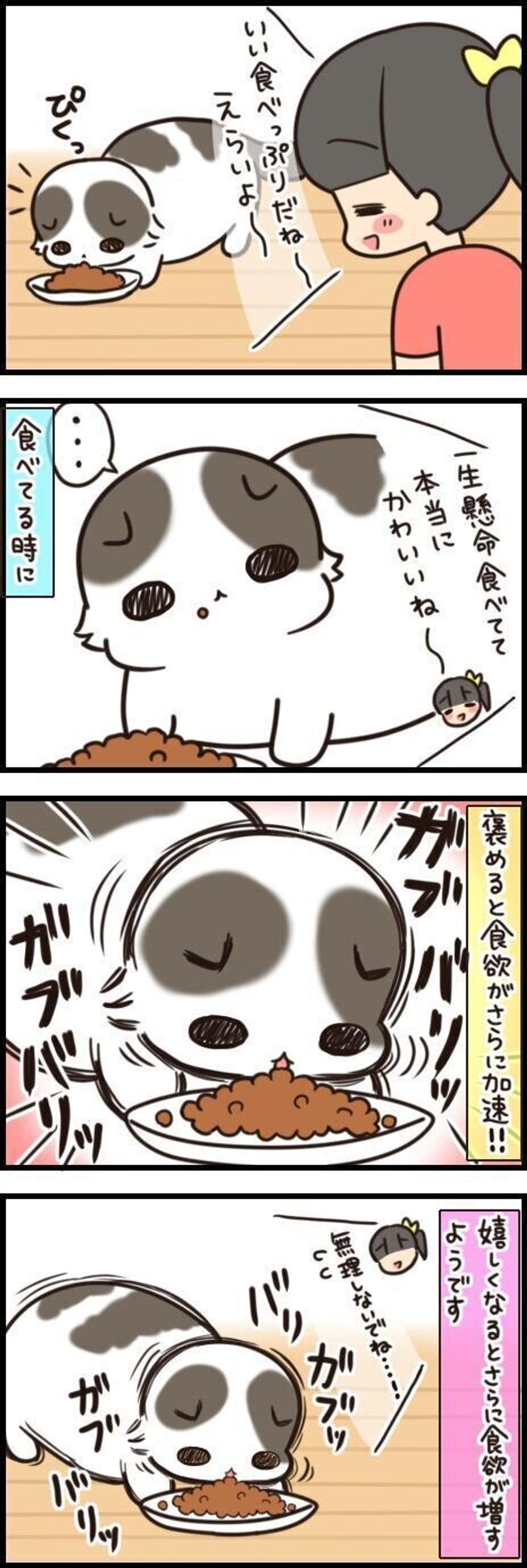 声をかけると 食べる勢いは止まるどころかますます加速 連載 もふもふスコたん 187 ねこのきもちweb Magazine 声をかけると 食べる勢いは止まるどころかますます加速 連載 もふもふスコたん 187 ねこのきもちweb Magazine
