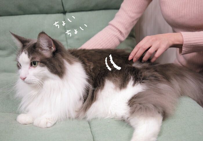 お尻はやさしくタッチがコツ