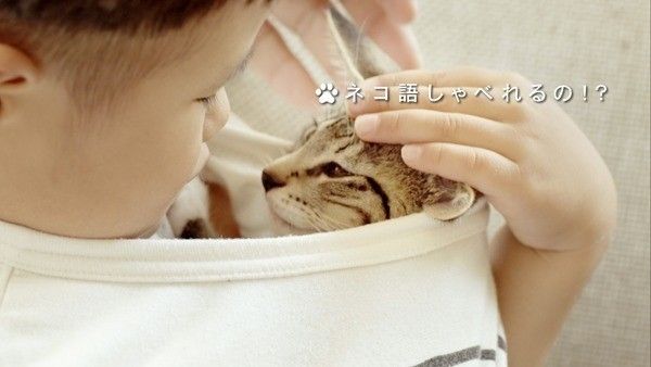ネコ語しゃべれるの!?　ねこのきもちCM