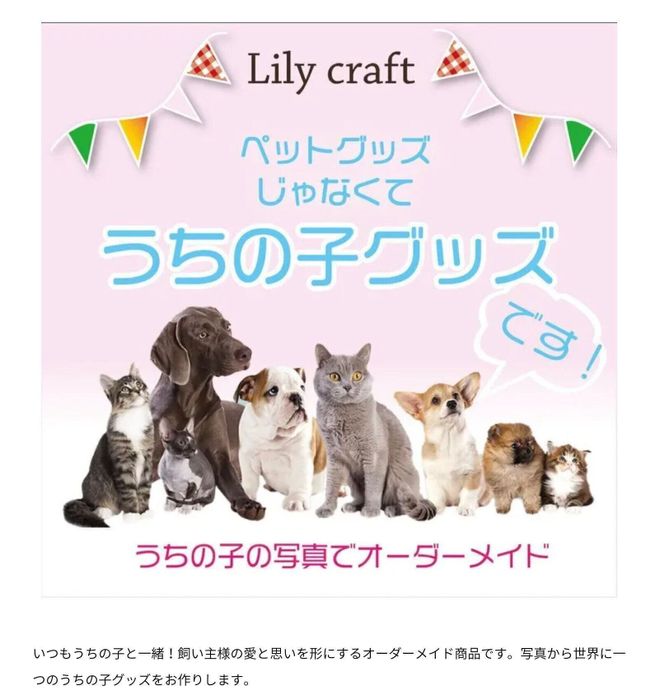 Lilycraft作品