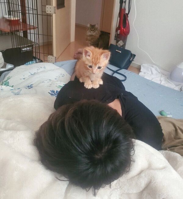 ご主人の上に乗るうにくん