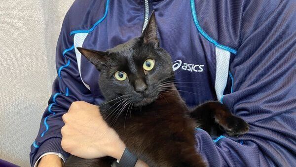 抱っこされるトニーくん