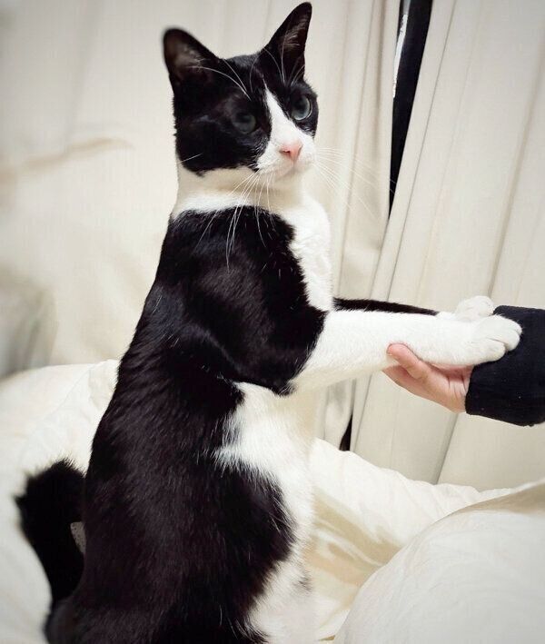 おねだりをするめいさん
