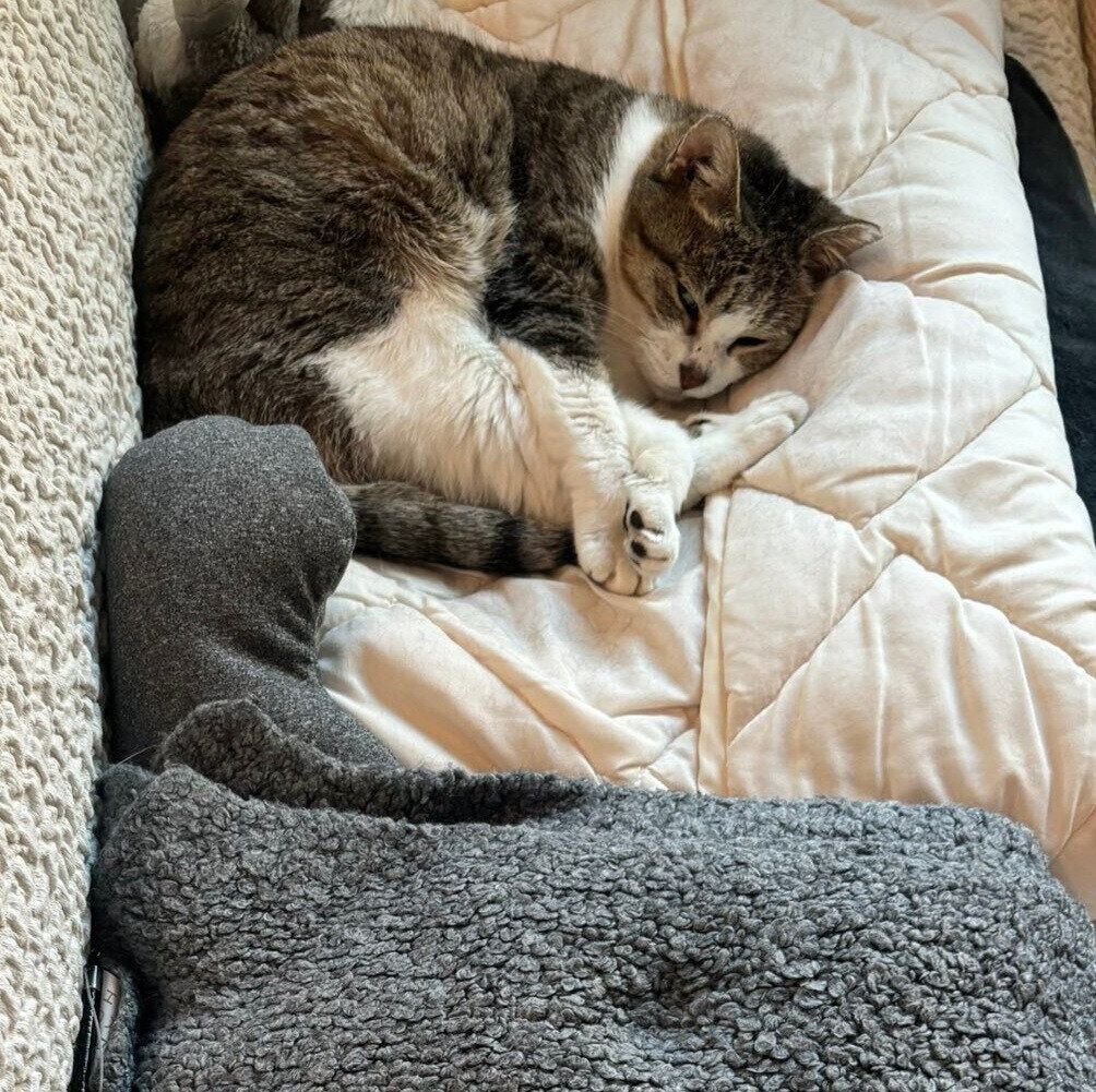 眠るぽぬちゃん