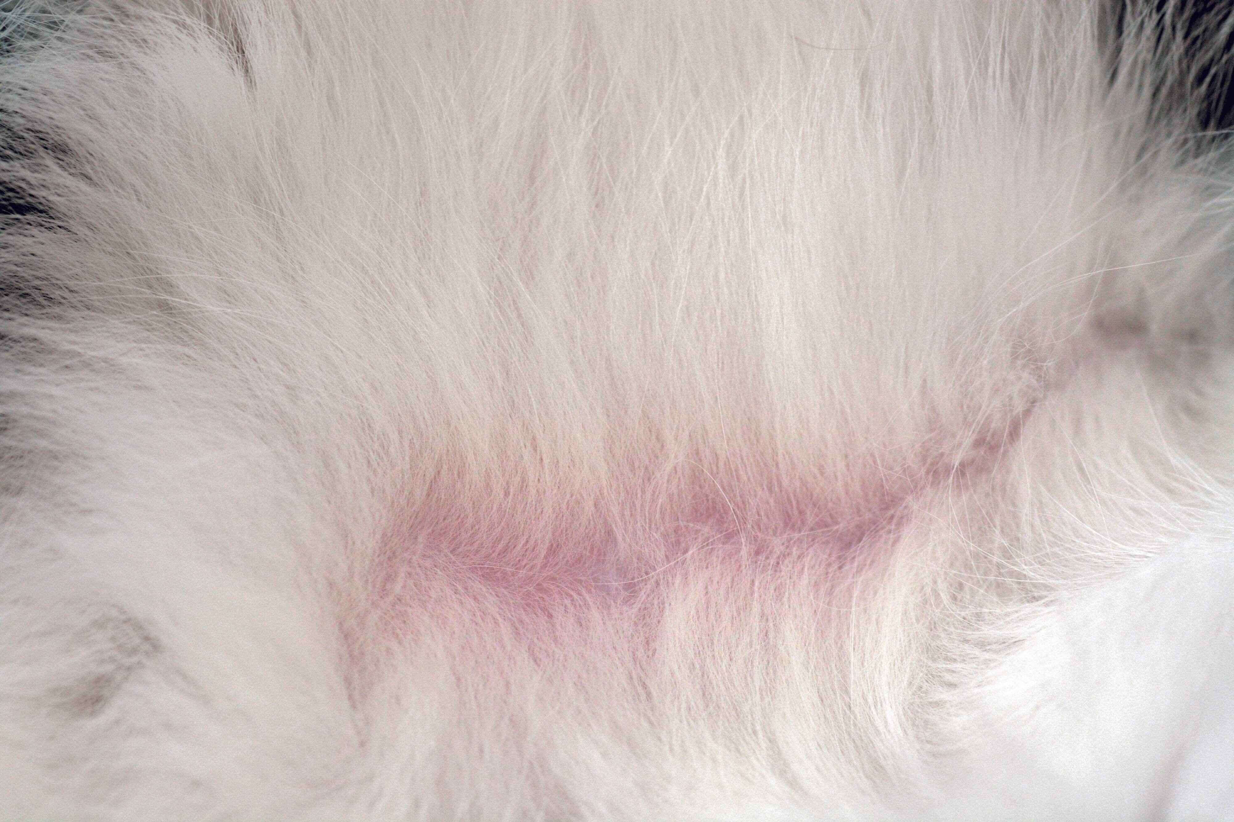 撮影／栗林　愛