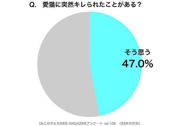 調査：愛猫に突然キレられたことがある？