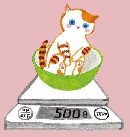 イラスト／竹脇麻衣