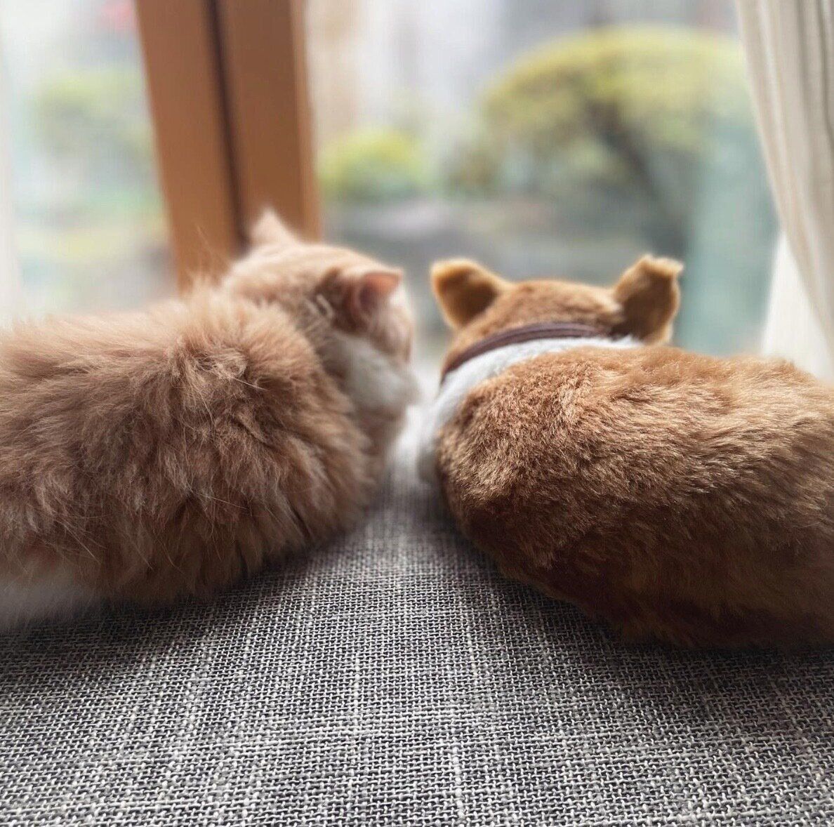 まったりするなぎちゃん