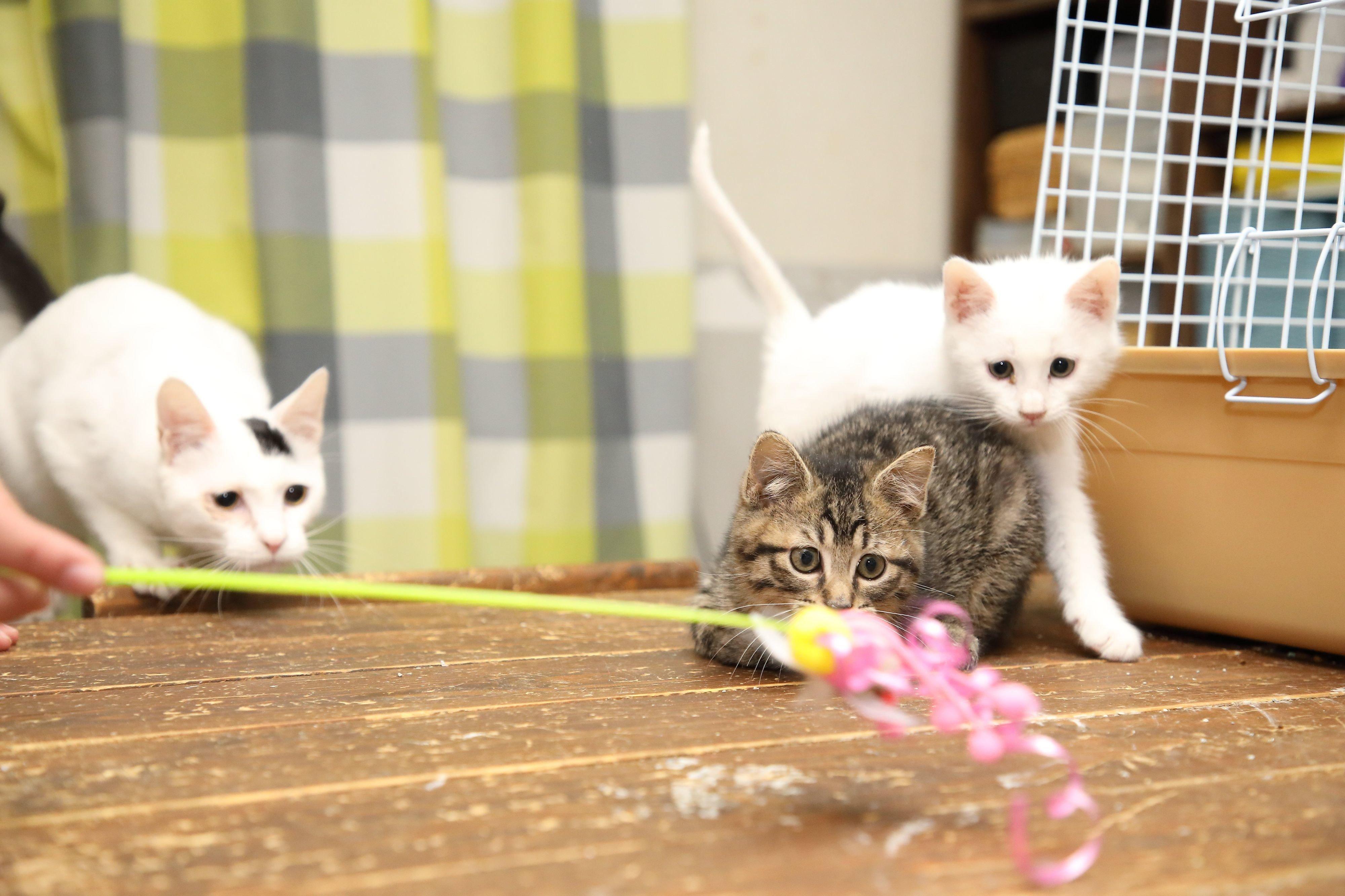 撮影／尾﨑たまき