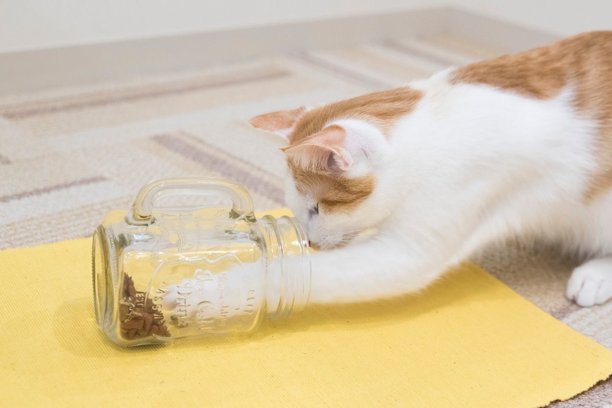 撮影／中川文作