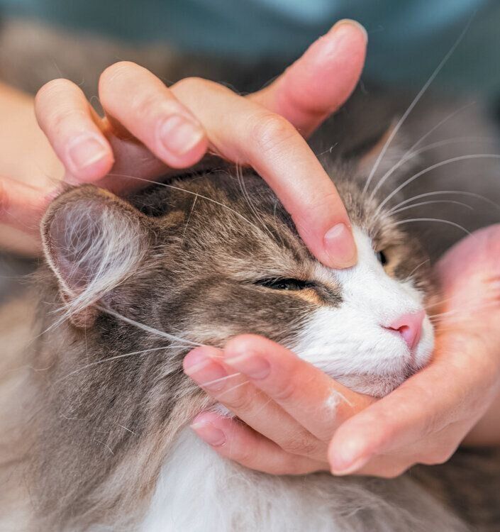 ツボ押しマッサージ