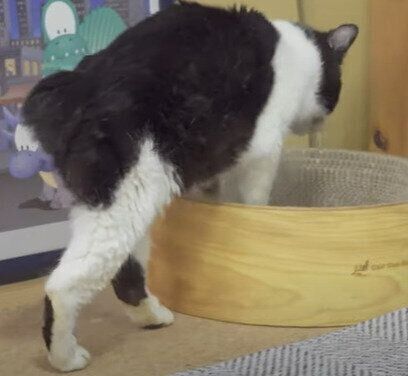 21歳の元気くん