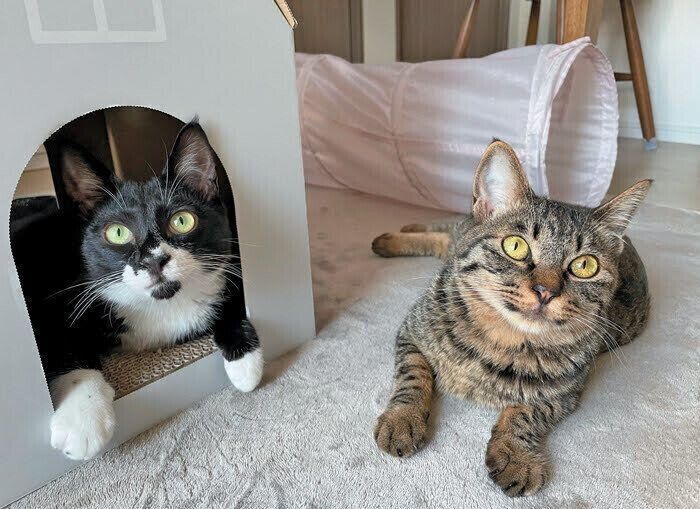 リラックスした様子のマイクくんとサリーくん