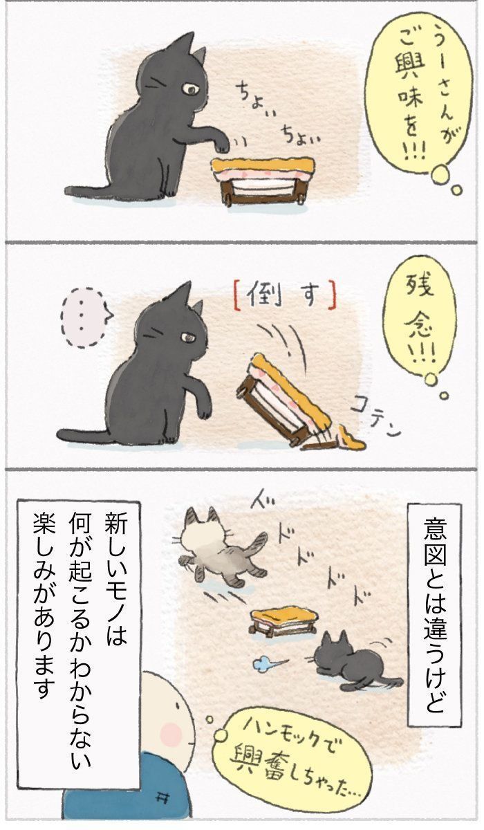 「ねこ連れ草」55話め